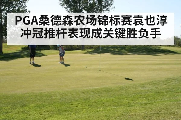 PGA桑德森农场锦标赛袁也淳冲冠推杆表现成关键胜负手